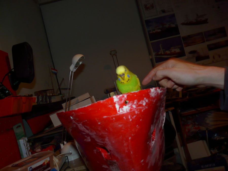 http://albums.modelbrouwers.nl/coppermine/albums/userpics/10782/2009-11-14_Tweety_05v.jpg