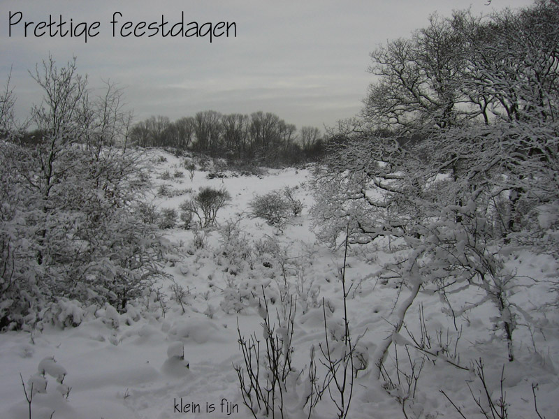 http://www.kleinisfijn.nl/co/uploads/originals/kerstgroet.jpg