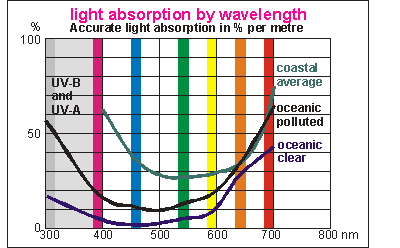 http://www.seafriends.org.nz/phgraph/phdwg34.gif