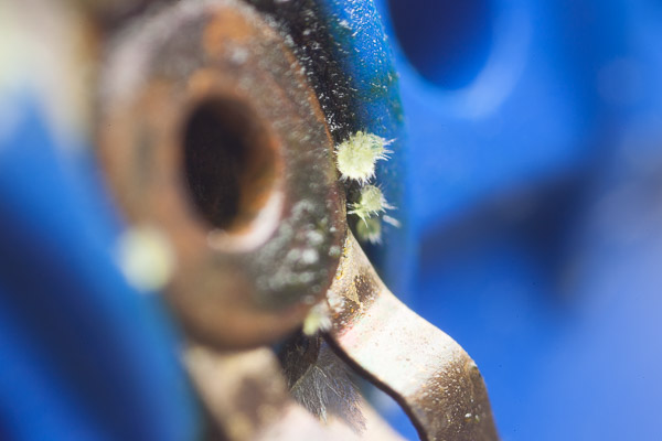 http://www.miedema.dyndns.org/co/2019/hm103/IMG_5185--HM103-schakelaar-kristal-aangroei-detail-600pix.jpg
