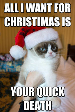 http://www.walagata.com/w/nightwalker/grumpy-cat.jpg
