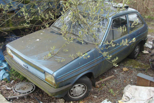 http://www.fordcapri.be/fcapri/fiesta2/640/100_00511.jpg